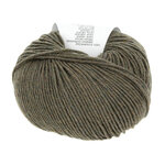 Lang Yarns Merino 120 - 598 Moss
