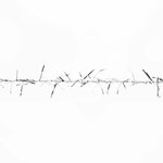 Lang Yarns Astra - 023 - Silver