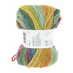 Lang Yarns Infinity 0001 Regenboog Waterval