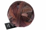 Zauberball Crazy - 2544  Late Autumn by Kieran Foley