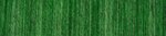 Schoppel Wolle Senior -  (2606) Green, yes, green