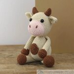 Haakpakket - Carmen Koe, Hardicraft