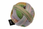 Zauberball Crazy, 2730 Nautilus