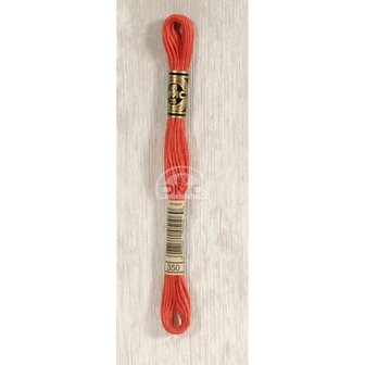 DMC Mouline Borduurzijde - 0350