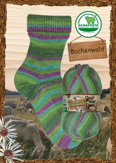 11592 Buchenwald