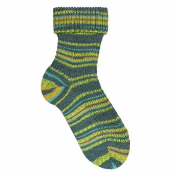 Opal Feuerwerk - Farbexplosion 11652