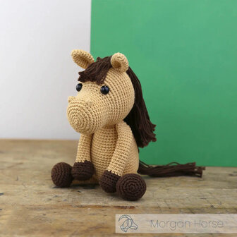 Haakpakket - Morgan Paard, Hardicraft