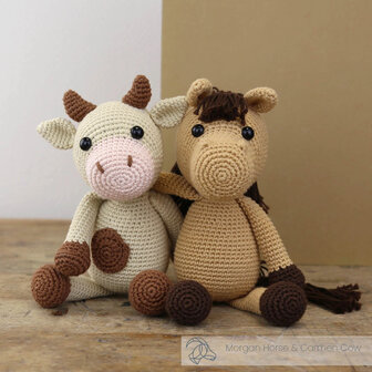 Haakpakket - Morgan Paard, Hardicraft