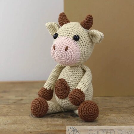 Haakpakket - Carmen Koe, Hardicraft