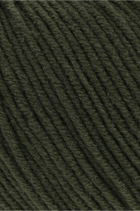 Lang Yarns Merino 120 - 498 Moss
