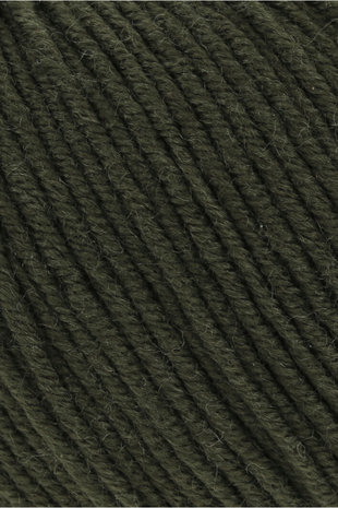 Lang Yarns Merino 120 - 498 Moss