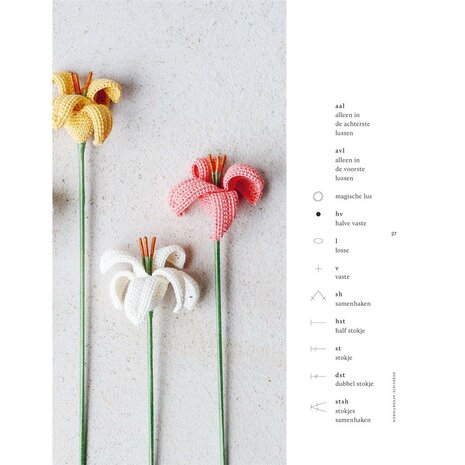 Boek Bloemen haken &aacute; la Sascha