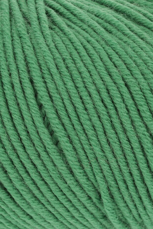 Lang Yarns Merino 120 - 316 Kiwi