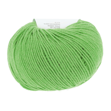 Lang Yarns Merino 120 - 416 Licht Groen