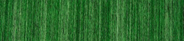 Schoppel Wolle Senior -  (2606) Green, yes, green
