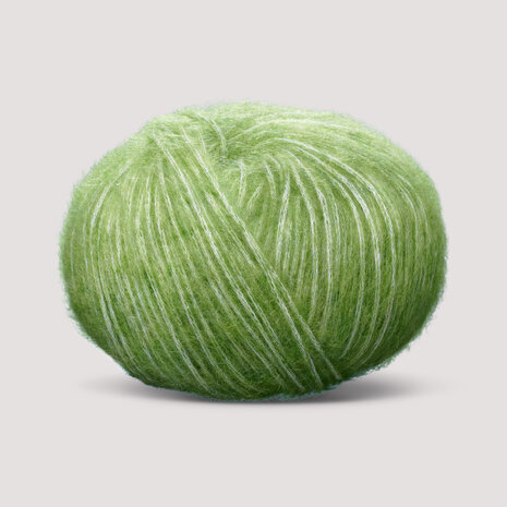 Sesia Artide - 0075 Fern