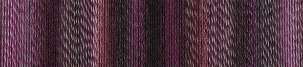 Zauberball Crazy, 2543 Dark Roses