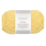 Sunday PetiteKnit - 2013 pineapple