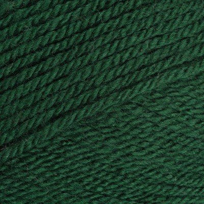 Stylecraft Special DK - 1009 Bottle
