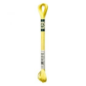 DMC Mouline Satin 1008F – S307