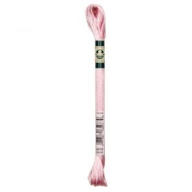DMC Mouline Satin 1008F – S820