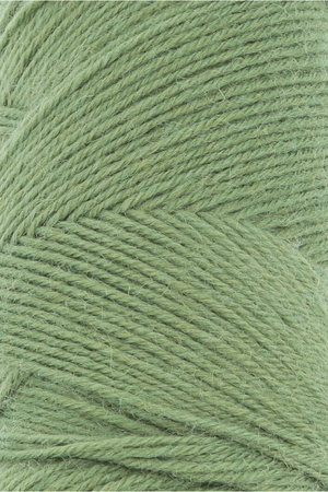 Lang Yarns Jawoll – 198 Fern