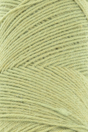 Lang Yarns Jawoll – 116 Kiwi