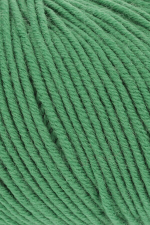 Lang Yarns Merino 120 - 316 Kiwi