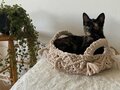Durable Rope macramegaren Kleur 291 Vintage Indigo